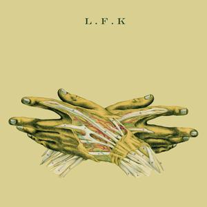 A Ride in an Amusement Park