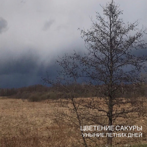 Плачешь под джой дивижн