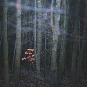 Seriously Shut The **** Up (Prod. Penacho)