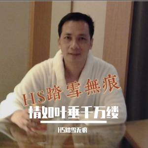 情如叶垂千万缕（HS踏雪无痕 、简）（翻自 HS踏雪无痕）