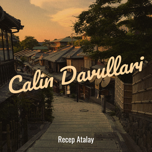 Calin Davullari
