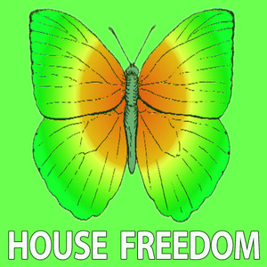 Deep Voice (Dub Mix)