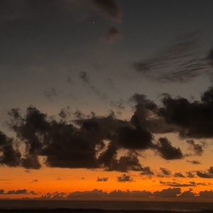 Y SI LA NOCHE (Freestyle)