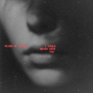 I could never hate you