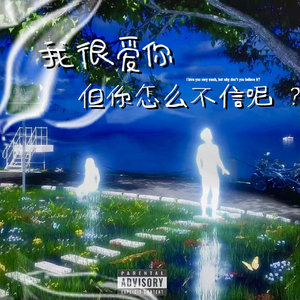 我很爱你 但你怎么不信呢