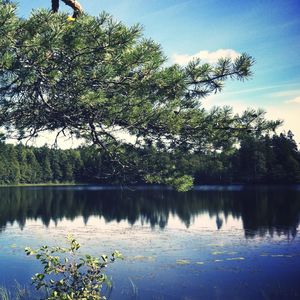 人已散心已碎 (剪辑版)