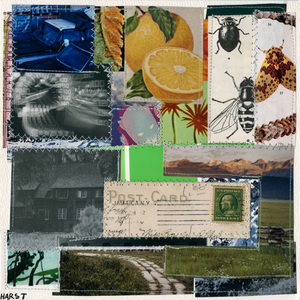 Rot (Single Version)