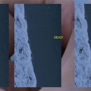 桃源郷は死んだ！