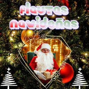 Zorros Navideños