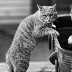 我们都老了（new）