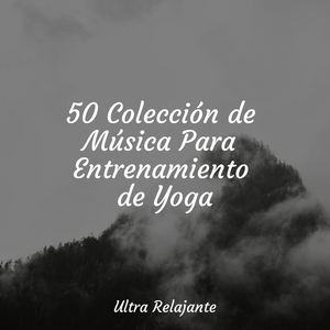 Una Probada A La Tranquilidad