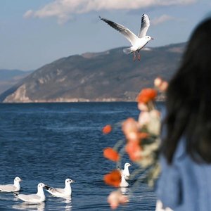 枯萎之花更让人牵挂