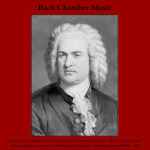 Andante for String Orchestra, Op. 2: No. 3: Le Regioni Della Luce