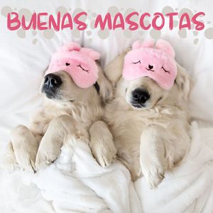 Mascotas Intrépidas