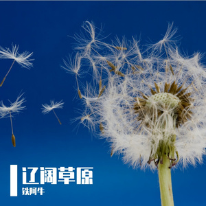 抒情版_风马不系缰