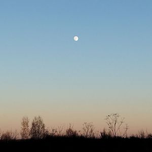 Влюблённость