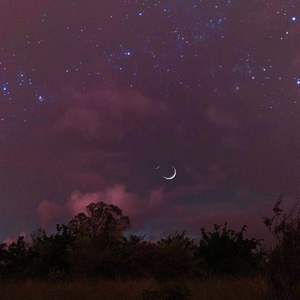 苦笑（奥特曼版）