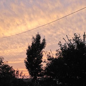 lv_0_20260329150008_20260329_152128.mp3