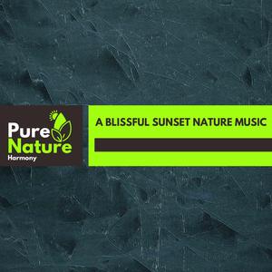 Night Beach Fire Motion