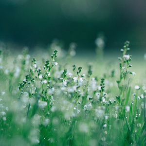 그럴때도 있잖아