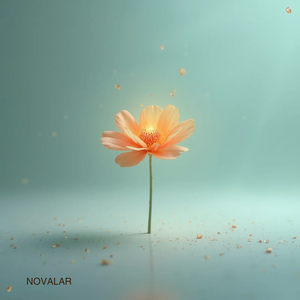 Thanks for the Flowers