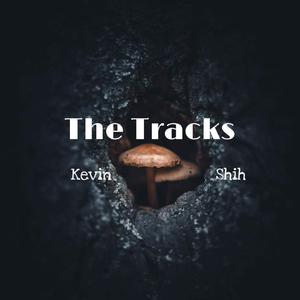 踪迹 The Tracks (Remix)