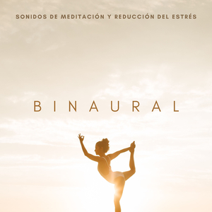 Tensión Pensadora