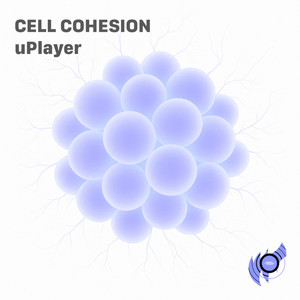 Cell Cohesion