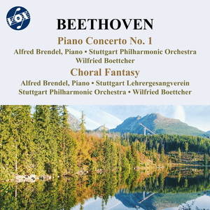 Piano Concerto No. 1 in C Major, Op. 15:III. Rondo: Allegro