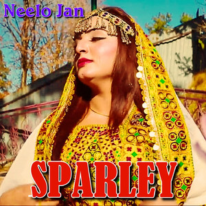 Musafara Ashna Darta Kaoma Meenatoona