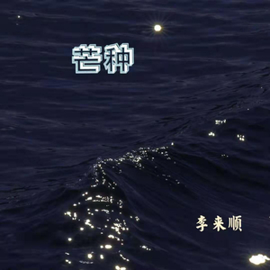 芒种 (抖音小提琴完整版)