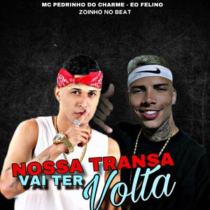 Nossa Transa Vai Ter Volta (feat. MC Pânico)