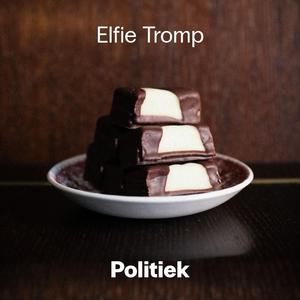 Politiek