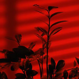 传奇  伴奏（唯美钢琴）