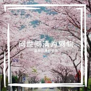 问世间情为何物