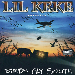 Houston's Finest (2002 Version)