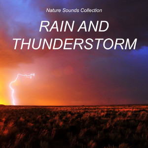 Nature Sounds Rain and Thunderstorm, Pt. 16