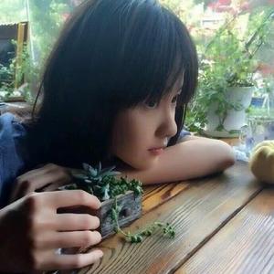 竖琴与钢琴编织的睡前安宁