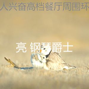 优美约会之夜器乐