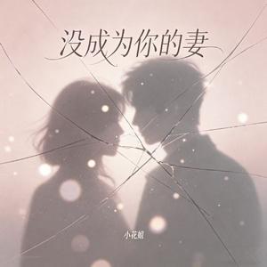 没成为你的妻