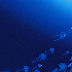 想见你想见你想见你 钢琴完整版