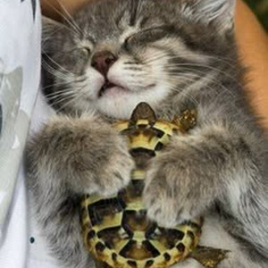 Cactus Jack (sped up)