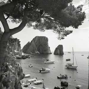 Nothing Like Tonight