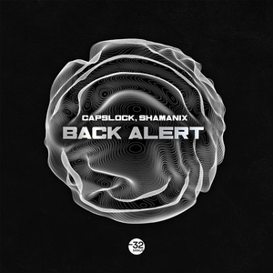 Back Alert