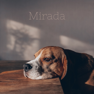 Mirada