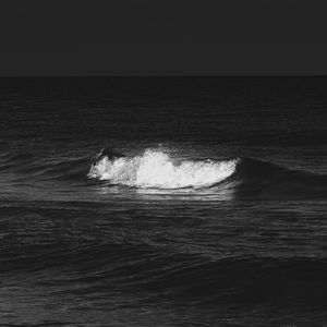 别再问我什么是迪斯科