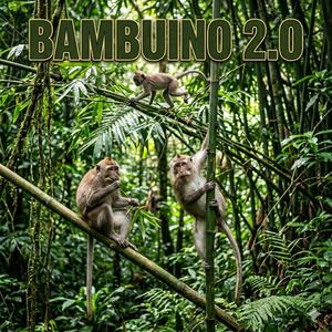 Bambuino 2.0