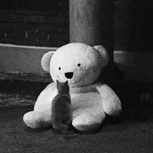 疯子（翻自 邢晗铭）