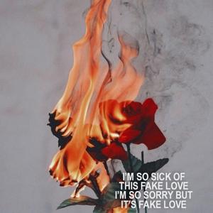 fake love