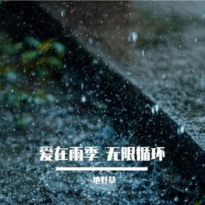 爱在雨季 无限循环